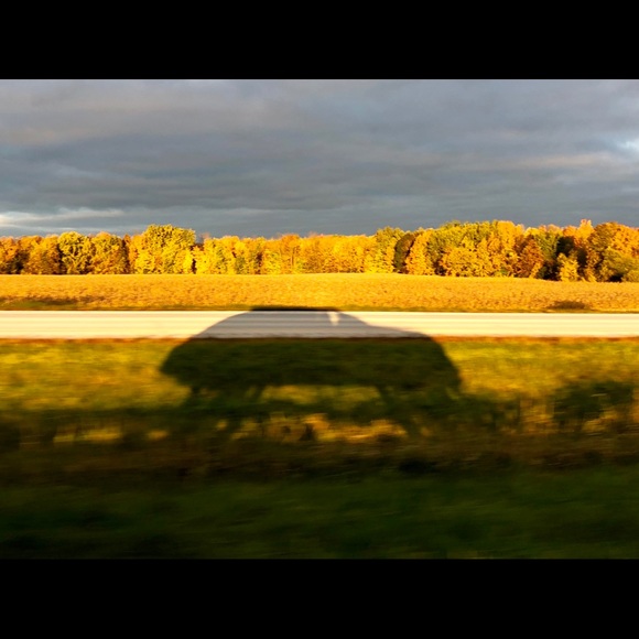 Meet your Posher, Rocky - Picture 1 of 1